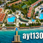 AYT13043