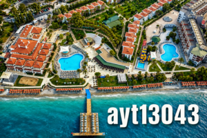 AYT13043